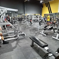 AM Fitness Altamira