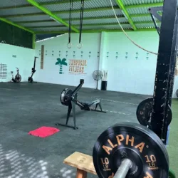 Tropical Fitness