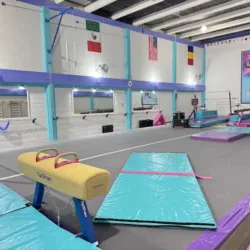 Gimnasia Olímpica Yeshuas