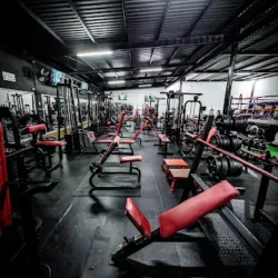 Shark body gym