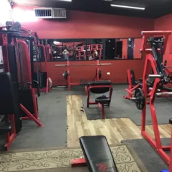 Evolution GYM