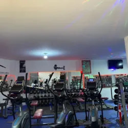 ALPHA GYM