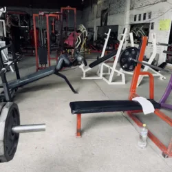 Delfines Vils Gym