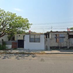 Videntes Blanca Flor