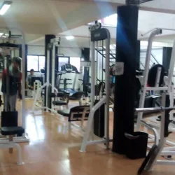 Vivant Gym