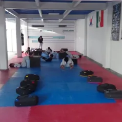 Taekwondo Sun Do & Fitness Tribe