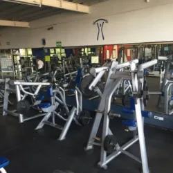 Life Gym