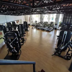 Gym Palace