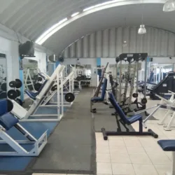 GIMNASIO DAAPS