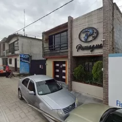 Bordados paniagua