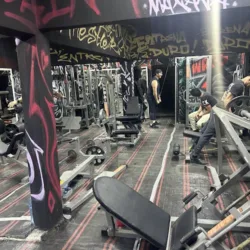 Wrestler gym