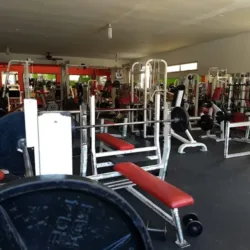 Olympia Gimnasio