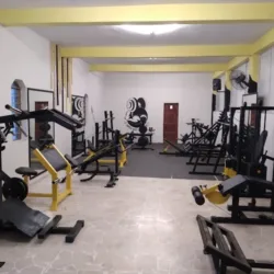 Gym press