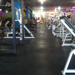 Gym-y's