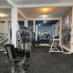 Gorillaz Gym