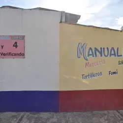 Manualidades Alelí