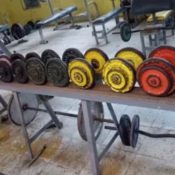 Merino GYM