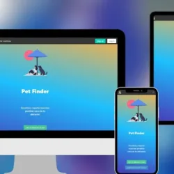Desarrollo de páginas web - InnovaxWeb