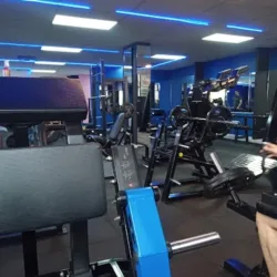 WOLF GYM ¡Be Brave - Be Alpha!