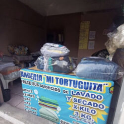 Lavandería mi tortuguita