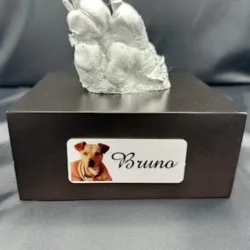 Recuerdo Crematorio de Mascotas Oficina Administrativa