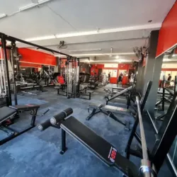 Generation Gym