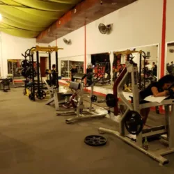 Body Fitness