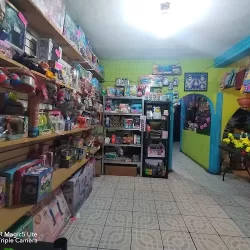 Jugueteria y novedades