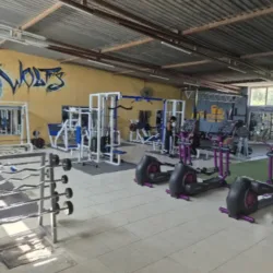 WOLF'S FITNESS CLUB