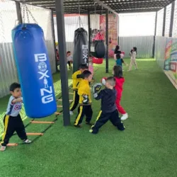 Elite boxing gym