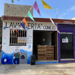 Lavandería el conejo