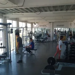 Fuerza Real Gym & Fitness
