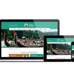 Diseño de Páginas Web | Cincok Desarrollador Web