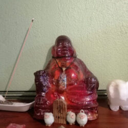 Karol tarot y meditación
