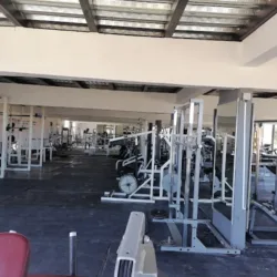 Railway Empire Gym
