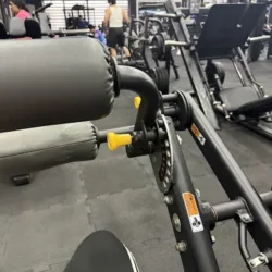 Estraining Gym Camp
