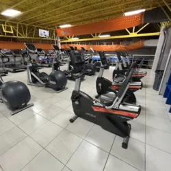 Ultra Gym