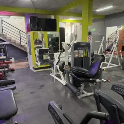 Tiger Gym