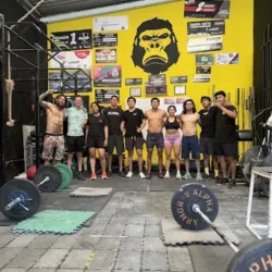 Gorilla 115 Training Club