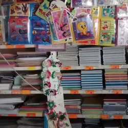 Papelería y Mercería Santo Domingo