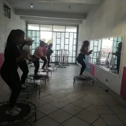 Studio fitness y Cardio escaladoras ALFA Y OMEGA QUEEN'S . Distribuidor kromasol