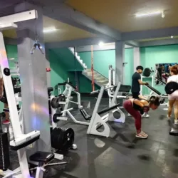Zeus gym