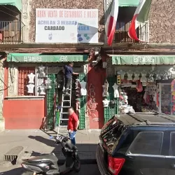 Estambres y Maniquíes VERO