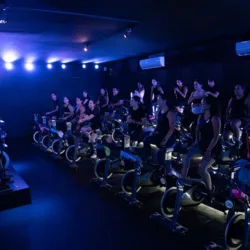 BEAT CYCLE + TRAIN