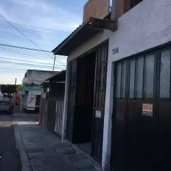 La mariposa