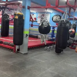 Iron Gloves Cardio-Boxing