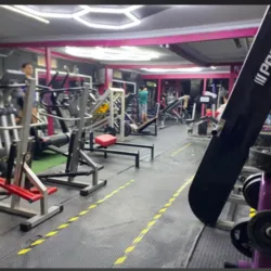 X gym Insurgentes norte