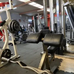 Authority Gym & Fitness club
