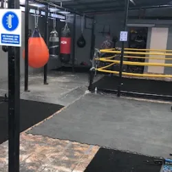Black Sheep Boxing Club.