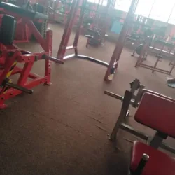 ARMADILLO'S GYM CEDAR